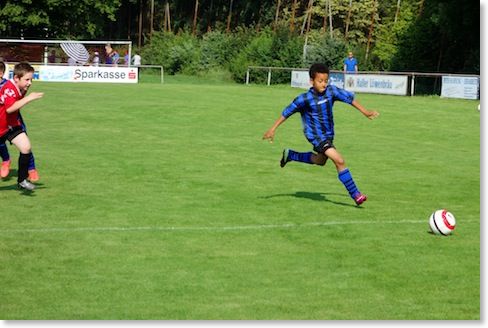 SSV 2013_0011