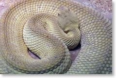 Wilhelma 4a 2012_0006